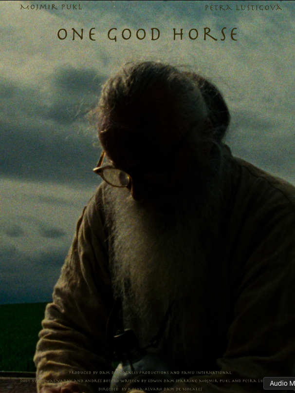 One Good Horse — sound design by Federico Casazza, sound designer Prague